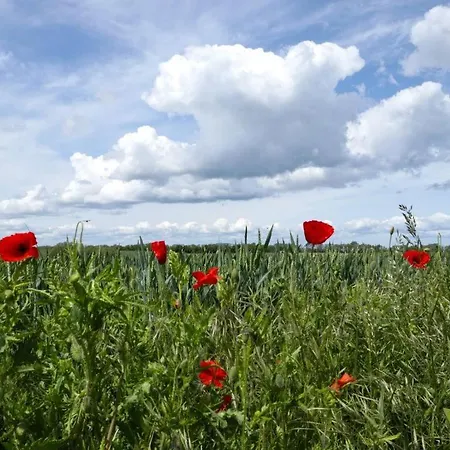 شقة Ostseehaus Ulrich